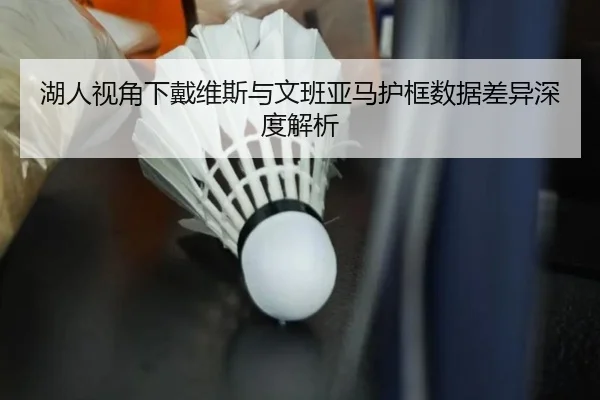 湖人视角下戴维斯与文班亚马护框数据差异深度解析
